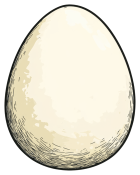 A single illustration of a natural white chicken egg shape png