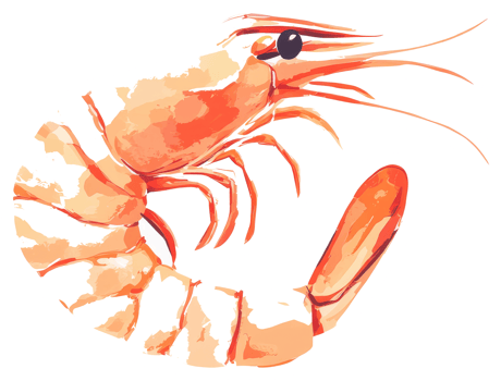 A Single Illustration Depicting A Large Orange Seafood Shrimp png
