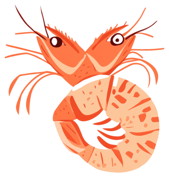 A stylized orange cartoon drawing depicting a curved shrimp or prawn png