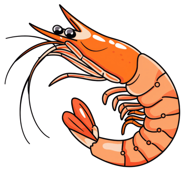 Cartoon illustration showing a cooked shrimp with orange and red colors png