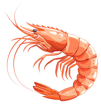 A Close Up Illustration Of A Cooked Orange Shrimp png