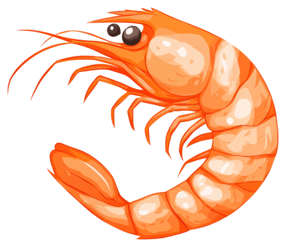 Illustration depicts a cooked shrimp with a bright orange color png