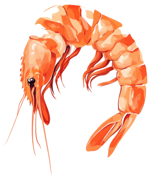 Illustration of a single cooked shrimp with a curved body png