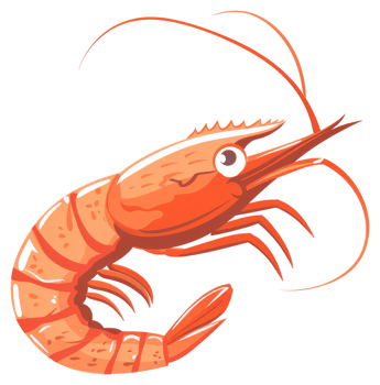A cartoon image presents a single cooked orange shrimp illustration png