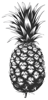 Detailed monochrome illustration presents a ripe tropical pineapple fruit plant png