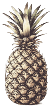 An illustration depicts a textured pineapple with spiky leafy crown png
