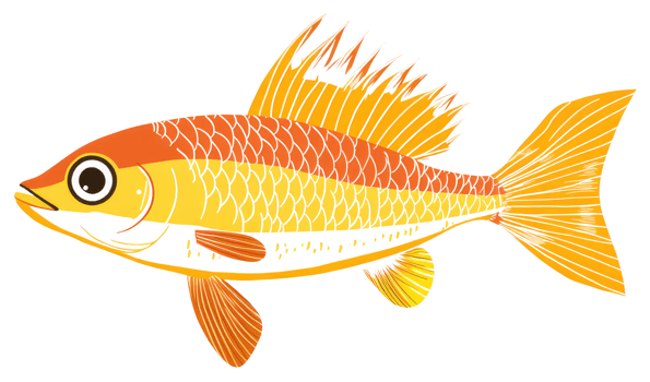 An illustrated golden fish with orange stripes and intricate fins png