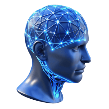 magnificent creative A Transparent Human Head with Visible Neu exclusive png