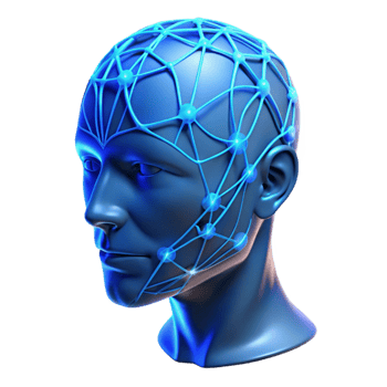 extraordinary rustic A Transparent Human Head with Visible Neu original png