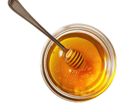 High angle view of honey dipper Isolated without background png