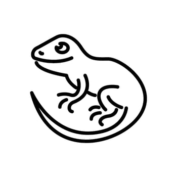 Curled lizard line art icon vector