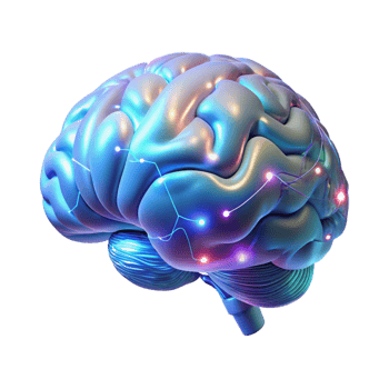 vibrant abstract A Holographic Projection of a Human Brain high resolution png