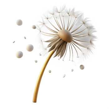 vibrant modern A Single Dandelion Seedhead with Seeds Blo premium png