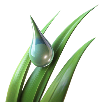 impressive vintage A Close Up of a Dewdrop on a Blade Of genuine png