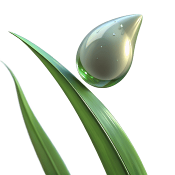 vibrant rustic vibrant modern A Close Up of a Dewdrop on a Blade Of high resolution detailed png