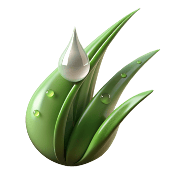 extraordinary minimalist A Close Up of a Dewdrop on a Blade Of exclusive png