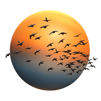 serene modern A Flock of Birds Migrating in a V Formati high resolution png