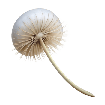 vibrant abstract A Single Dandelion Seed Head in the Wind high quality png