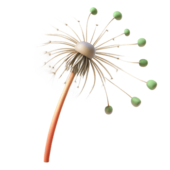 vibrant traditional A Single Dandelion Seedhead with Seeds Blo detailed png