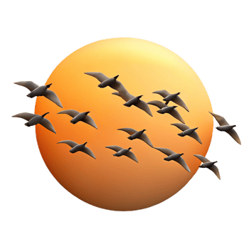 beautiful minimalist A Flock of Birds Migrating in a V Formati professional png