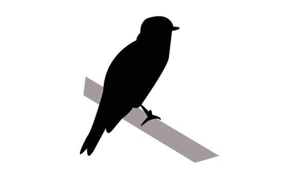 African grey flycatcher bird black Silhouette Design And Illustration. vector