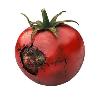 3D Realistic Tomato With Hole On Transparent Background png