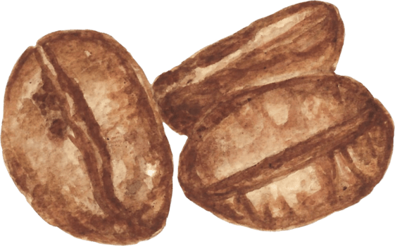 Coffee Beans that are drawn and painted by hand in watercolor fine art style png
