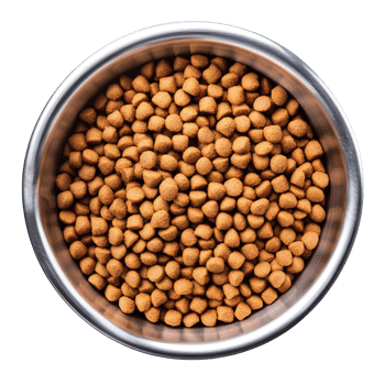 Stainless Steel Bowl with Dry Pet Food Kibble png