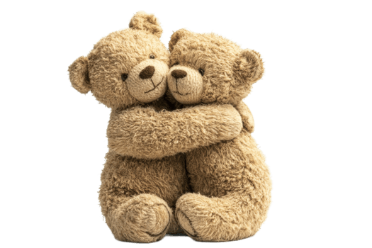 Soft teddy bears hugging together with warmth png