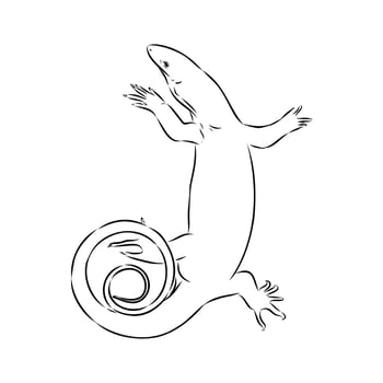 carnivorous tree monitor lizard hand sketch vector