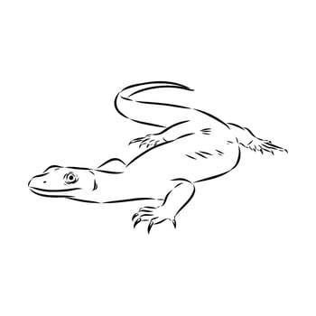 wood monitor lizard hand-drawn vector