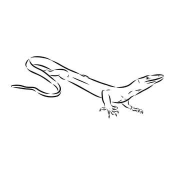 wood monitor lizard black and white drawing vector