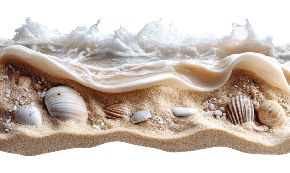 Ocean wave with shells on sandy beach shore line png