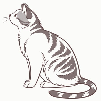 a drawing of a cat sitting down. vector