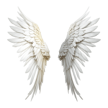 pair of white angel wings delicate feather details png