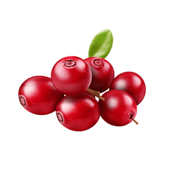 Cluster of red cranberries a small green leaf attached png