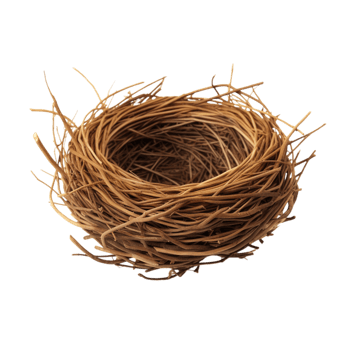 Bird nest made of dry twigs woven together in a circular shape png