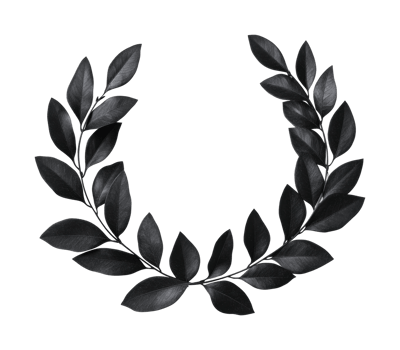 Elegant black laurel wreath with glossy leaves on dark background, cut out png
