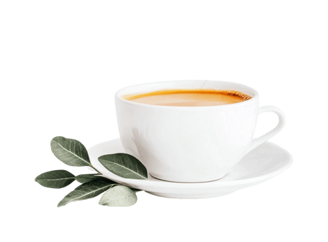 White ceramic coffee cup with green leaves on saucer, cut out png