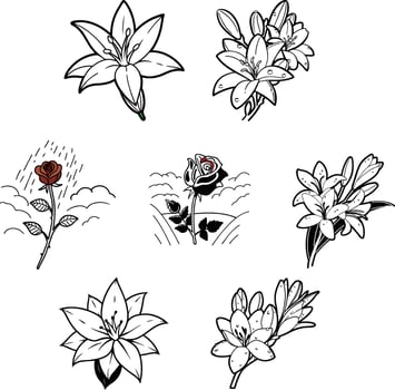 Delicate Botanical Flower Sketches in Line Art vector