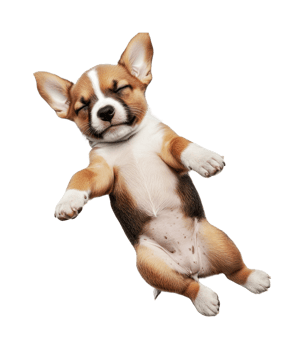 Sleeping puppy with paws up relaxing, cut out png