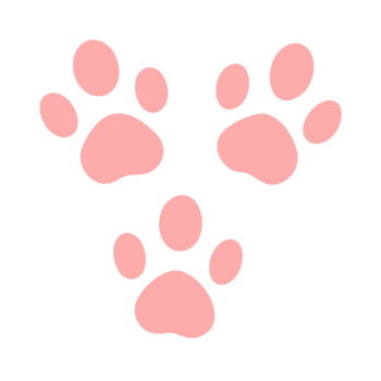 Cute Pink Paw Prints Pattern on Transparent Background png