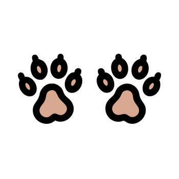 Two Cute Paw Prints on Transparent Background png
