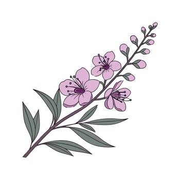 Charming Angelonia on Bright White. vector