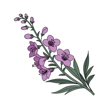 Charming Angelonia on White vector