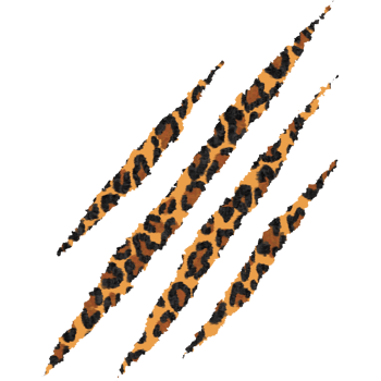 Claws marks. Claw mark scratch. Tiger claw marks. Glamour png