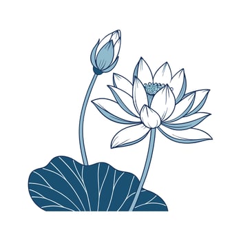 Blue Lotus Bright Flower Design vector