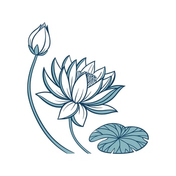Charming Blue Lotus on Clean White vector