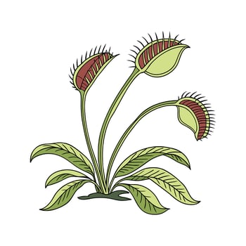 Charming Carnivorous Plant on Clean White vector