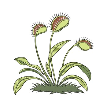 Carnivorous Plant Bright Design vector